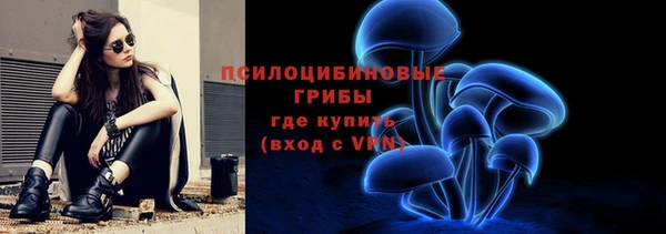 стаф Алексеевка