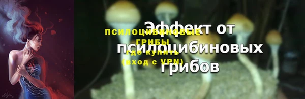 стаф Алексеевка
