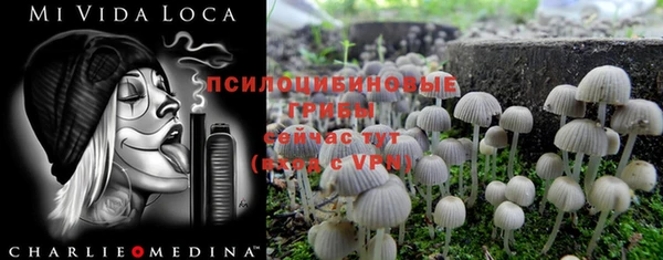 стаф Алексеевка