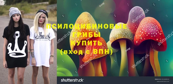 герыч Алексин