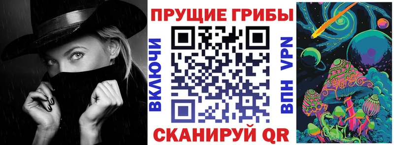 Псилоцибиновые грибы Psilocybine cubensis  Нарьян-Мар 