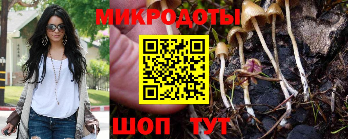 Галлюциногенные грибы GOLDEN TEACHER  Вход с VPN  Нарьян-Мар 